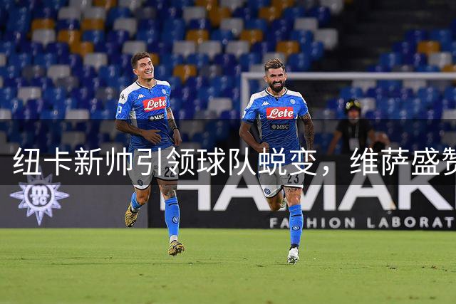 纽卡新帅引领球队蜕变，维萨盛赞阵容调整与球迷支持